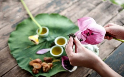 Top 5 loài hoa phổ biến dùng để ướp trà